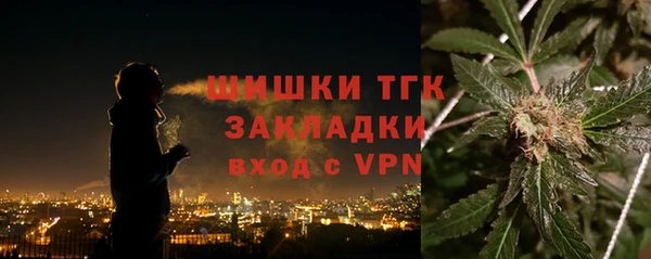 ешки Корсаков
