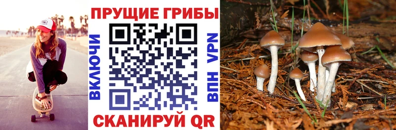 Галлюциногенные грибы прущие грибы  Карталы 